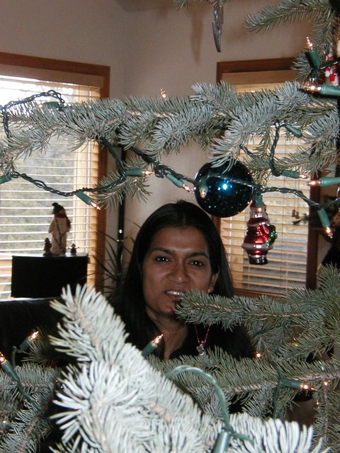 2005Thanksgiving 042.jpg