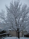 first_snow_2006 003.jpg