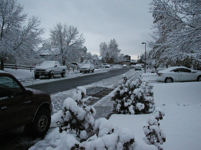 first_snow_2006 004.jpg