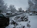 first_snow_2006 004.jpg