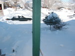 big_snow_2006_dec_first 001.jpg