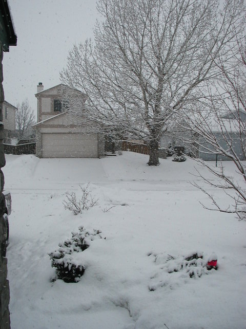 big_snow_2006_dec_second 003.jpg