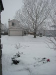 big_snow_2006_dec_second 003.jpg