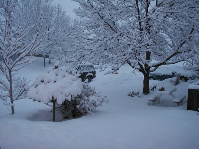 big_snow_2006_dec_second 004.jpg