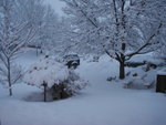 big_snow_2006_dec_second 004.jpg