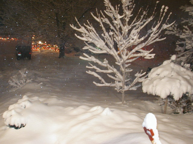 big_snow_2006_dec_second 006.jpg