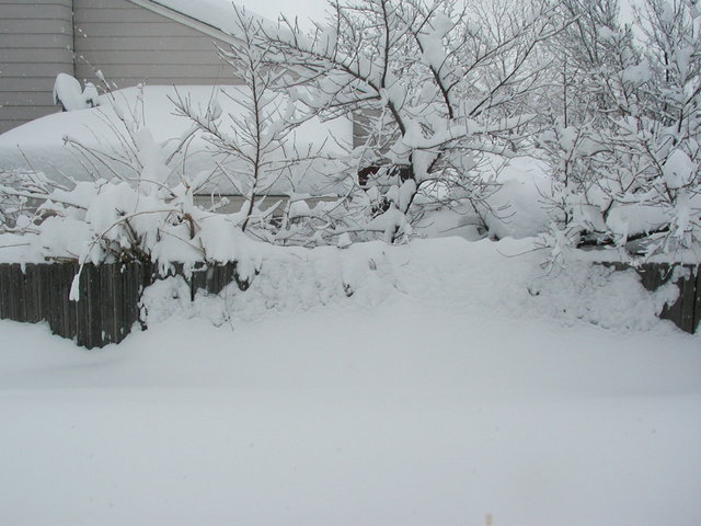 big_snow_2006_dec_second 007.jpg