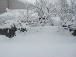 big_snow_2006_dec_second 007.jpg