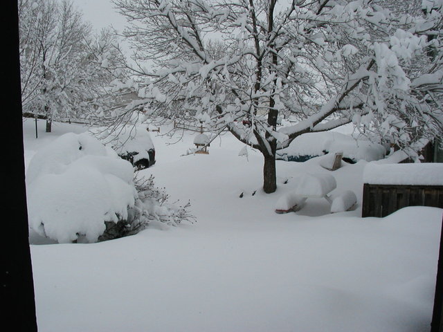 big_snow_2006_dec_second 008.jpg