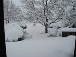 big_snow_2006_dec_second 008.jpg