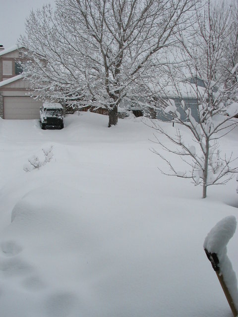 big_snow_2006_dec_second 009.jpg