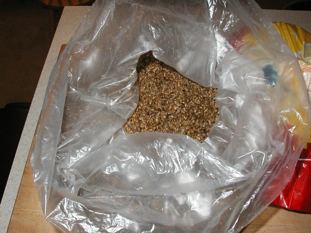 WinterWarmer 006.jpg