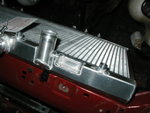 ron_davis_radiator_st185 005.jpg