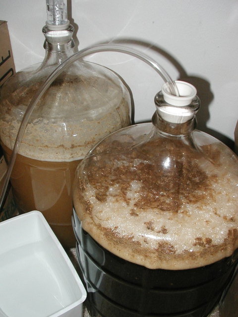 RaspberryWheat 006.jpg