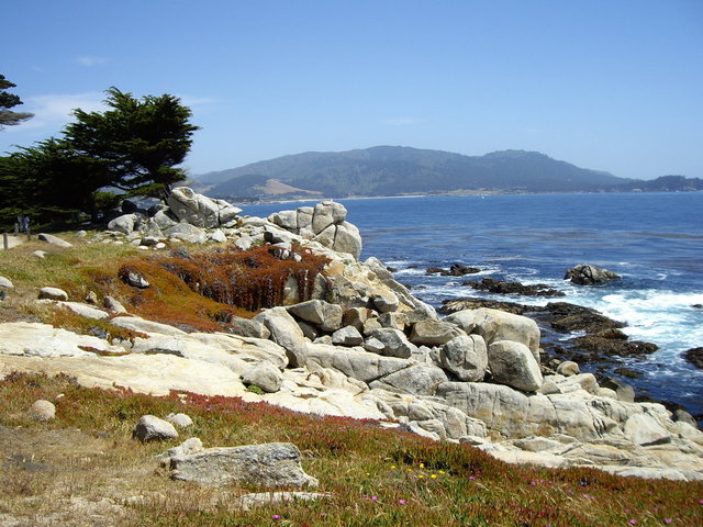 SF2007 123.jpg