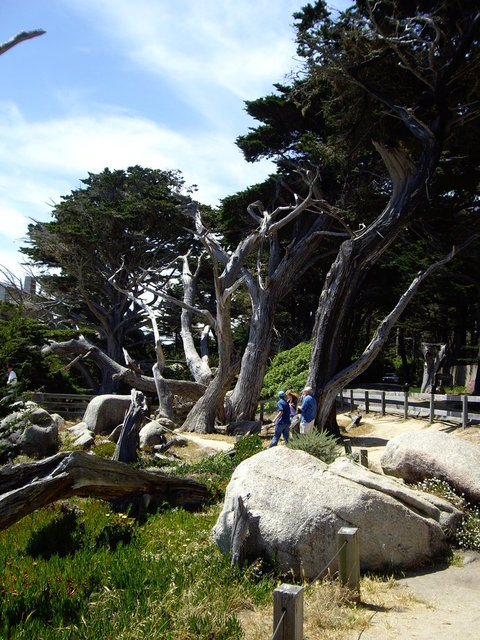 SF2007 125.jpg