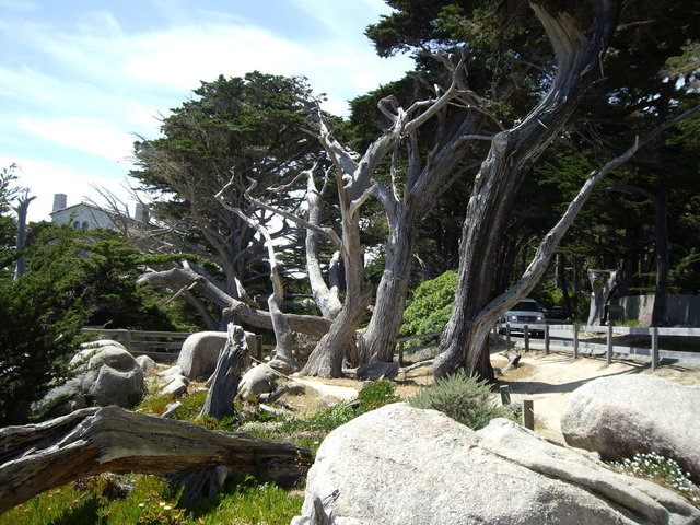 SF2007 129.jpg