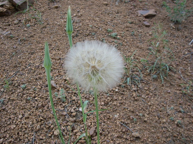 Camping June 2007 021.jpg