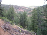 Camping June 2007 026.jpg