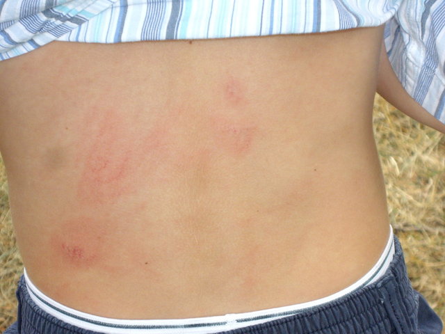 traverse_city_2007 017