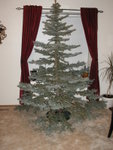 Christmas_Tree_2007 001