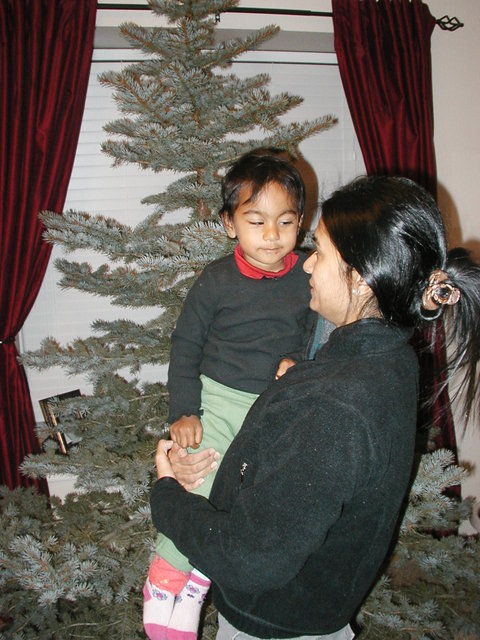 Christmas_Tree_2007 003