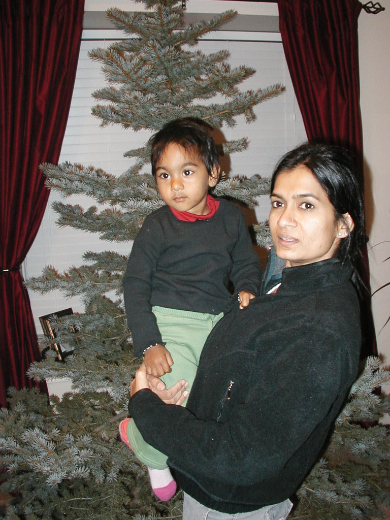 Christmas_Tree_2007 004