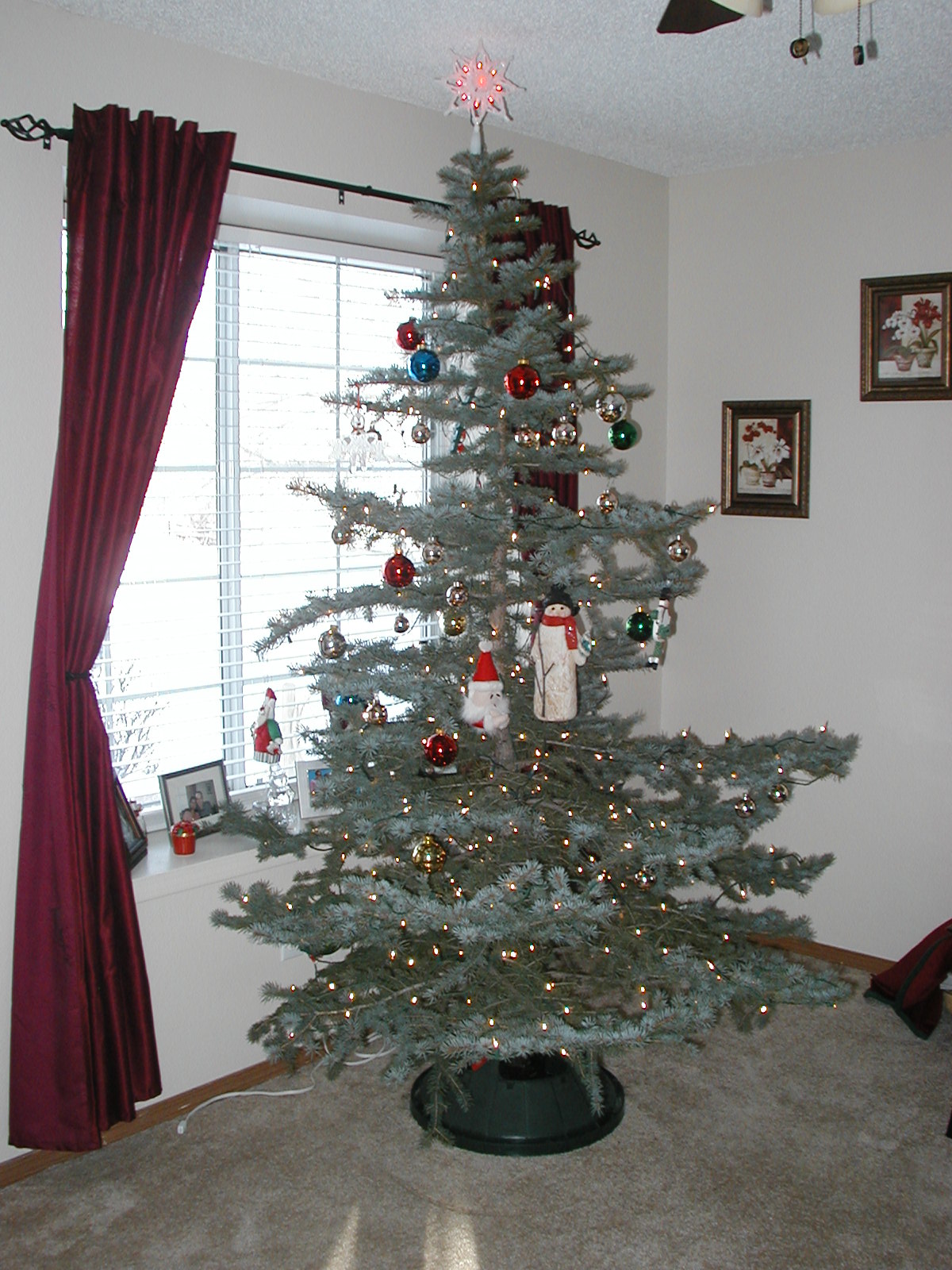 Christmas_Tree_2007 006