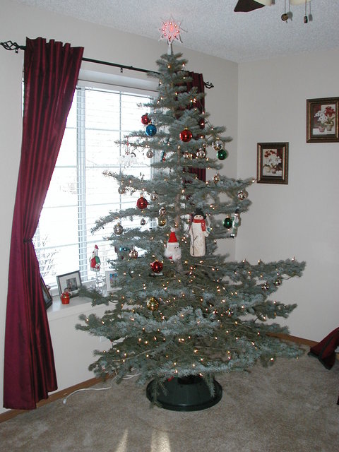 Christmas_Tree_2007 006