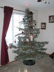 Christmas_Tree_2007 006