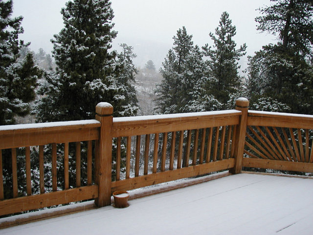 firstsnow2005_001.jpg