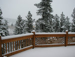 firstsnow2005_003.jpg