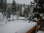 firstsnow2005_004.jpg