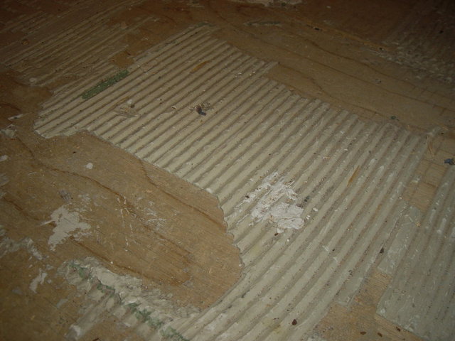 kitchen_floor 012.jpg