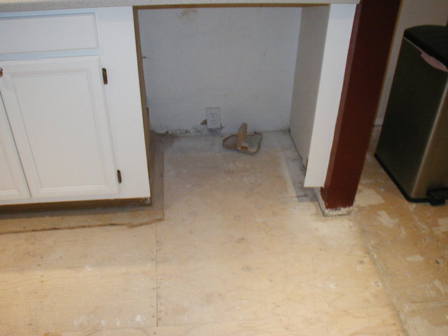 kitchen_floor 030.jpg