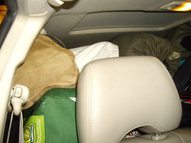 yellowstone2008 002.jpg