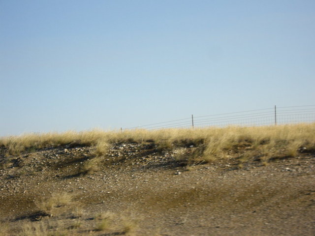 yellowstone2008 003.jpg