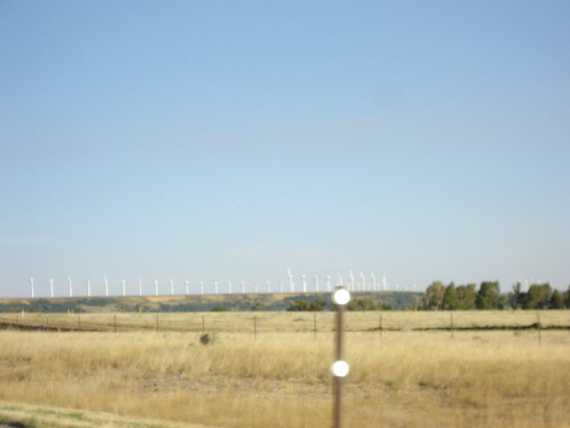 yellowstone2008 004.jpg