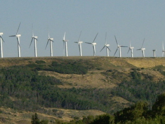 yellowstone2008 006.jpg