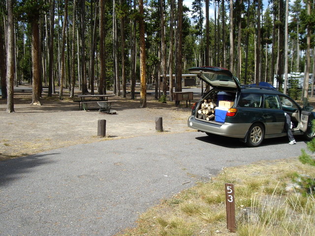 yellowstone2008 007.jpg