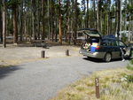 yellowstone2008 007.jpg