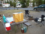 yellowstone2008 014.jpg
