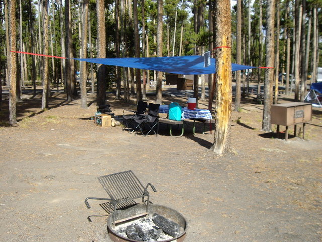 yellowstone2008 015.jpg