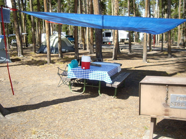 yellowstone2008 016.jpg