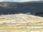 yellowstone2008 020.jpg