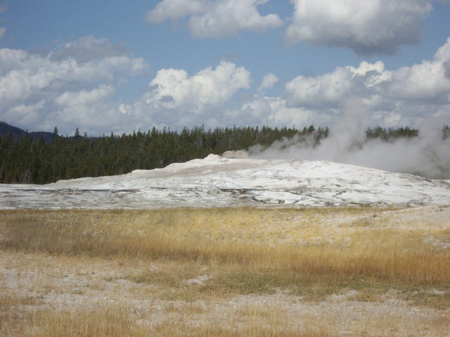 yellowstone2008 023.jpg