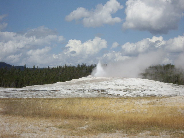 yellowstone2008 024.jpg