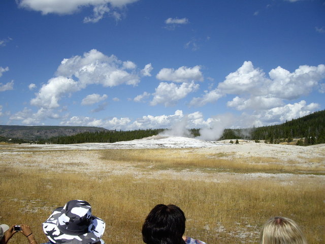 yellowstone2008 029.jpg