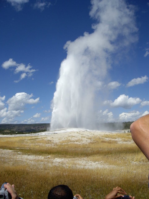 yellowstone2008 036.jpg