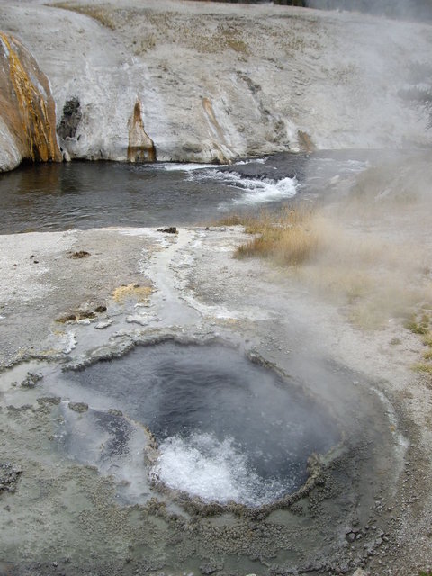 yellowstone2008 050.jpg
